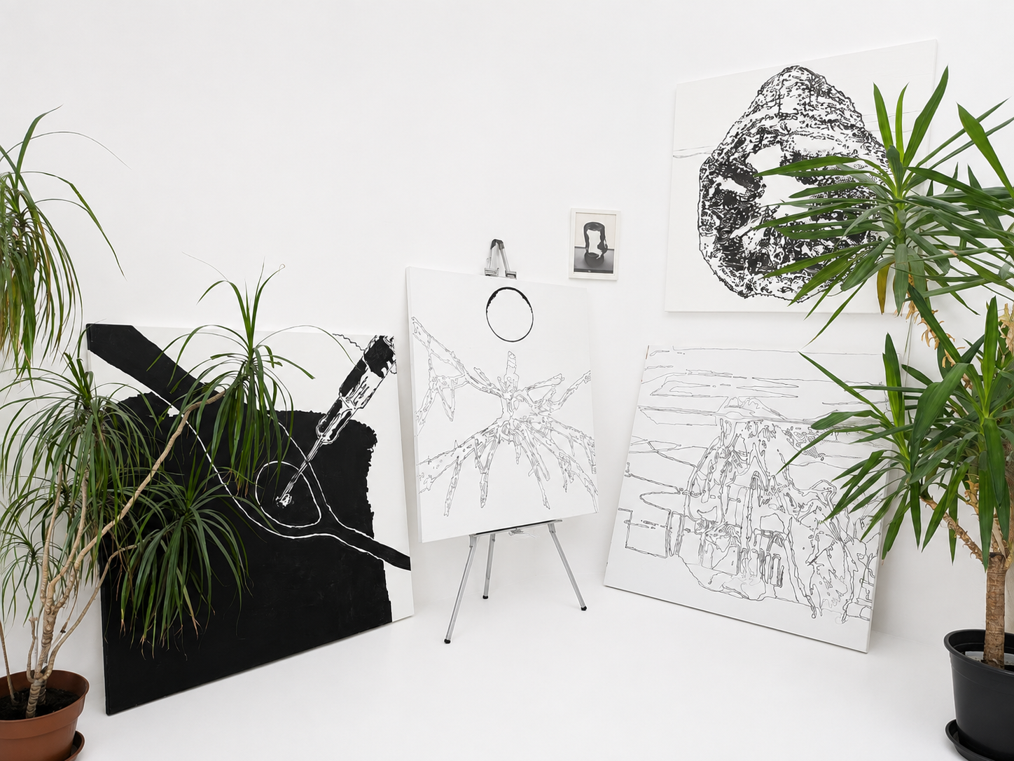 Paintings